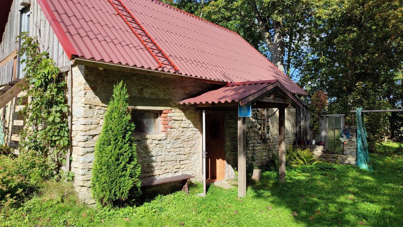 Gasthaus Viini Puhkemaja Mustjala Exterior foto