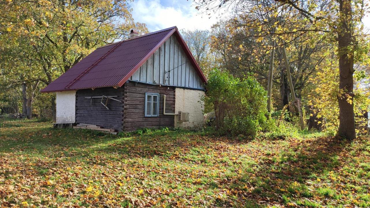 Gasthaus Viini Puhkemaja Mustjala Exterior foto