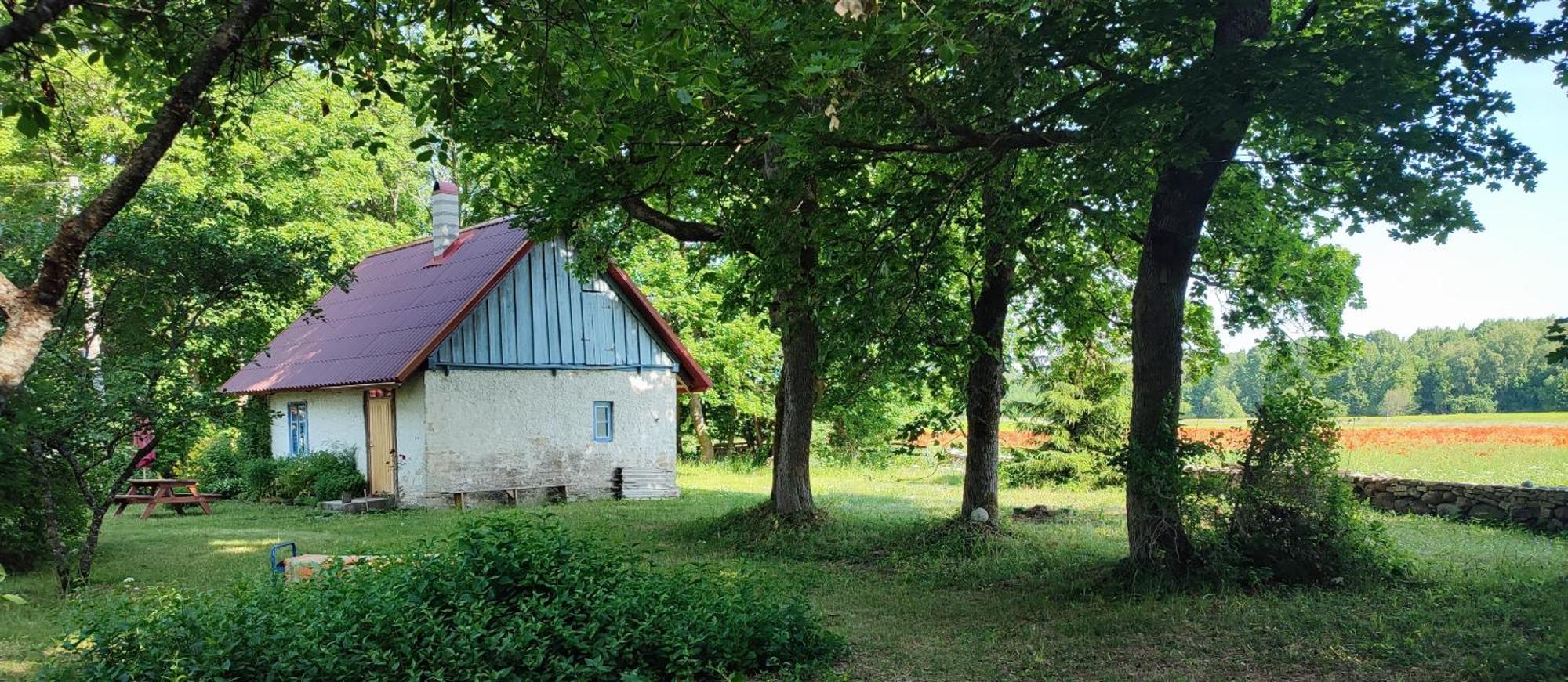 Gasthaus Viini Puhkemaja Mustjala Exterior foto